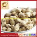 New Crop Raw Peanut in Shell Materials for Roasting